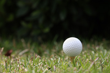 golf ball