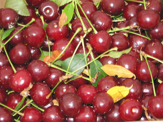 cherries