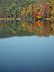 autumn reflection