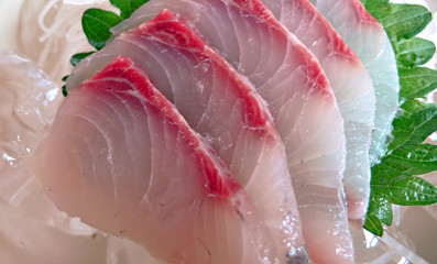 Naklejka premium served japanese sasimi