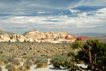 Fototapeta na wymiar red rock desert scenes 6