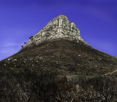 lions head, leeukop