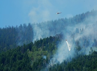forest fire
