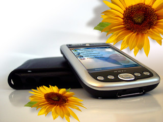electronic and sunflowers