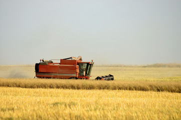 Obraz premium moisson