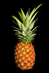 Fototapeta premium pineapple on black