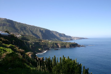 ocean