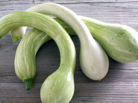 trumpet zucchini