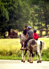 équitation
