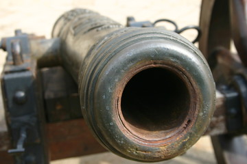 cannon