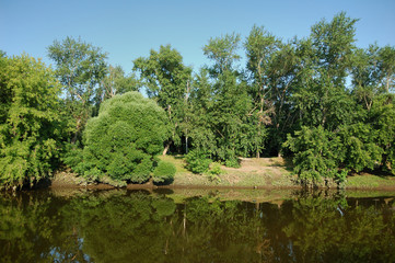 Fototapeta na wymiar river and landscape in summer morning