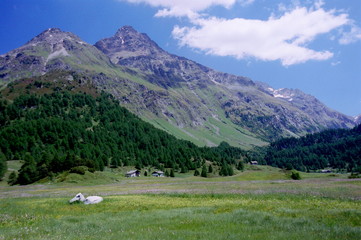 Fototapeta premium alps-3