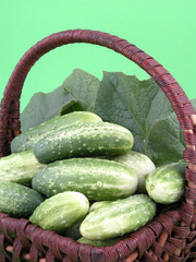 cucumbers