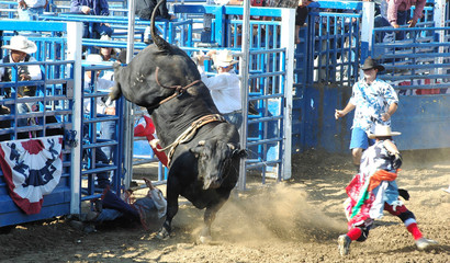 bull throwing rider