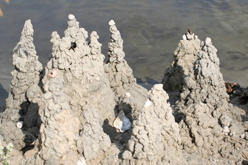 sand castle_2