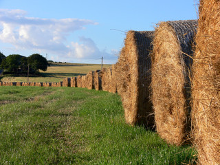 straw bales 2
