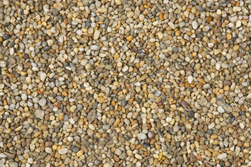 wet little stones