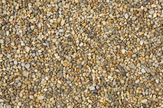 wet little stones