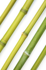 bamboo diagonal