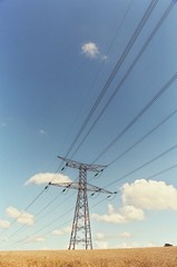 champs de blé sous haute tension