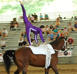 horse vaulter performing