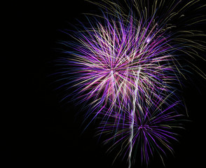 Fototapeta premium bright purple fireworks