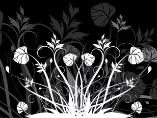 Papier Peint photo Fleurs noir et blanc fond floral