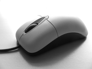 mouse