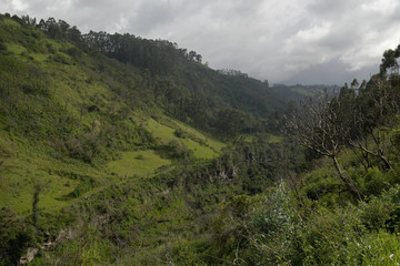 the mountain gorge. ecuador