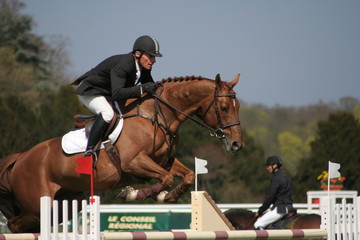 bruno rocuet et gerfaut d'helby