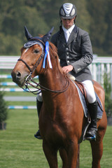 cavalier et cheval récompensé