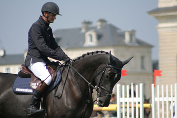eric navet et bodega