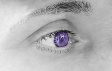 purple or lilac eyes