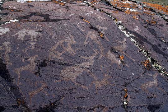 mongolian petroglyph panel