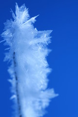 Fototapeta premium ice