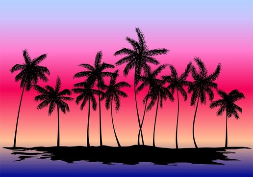 silhouette of palm trees on the sunset