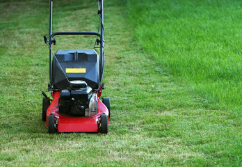 Fototapeta premium lawnmower