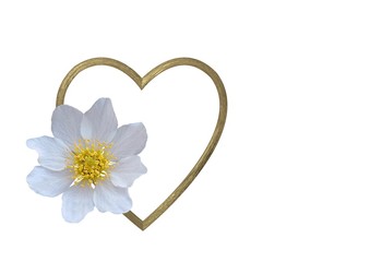 herz mit blume
