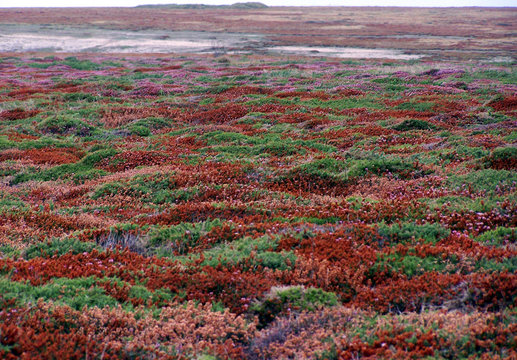 landes