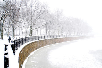 kronverk embankment and kamennostrovski prospekt