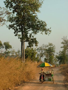 paysage, cambodge