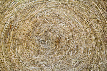 rolled hay
