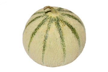 melon