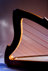 shepherd's harp in the light, purple