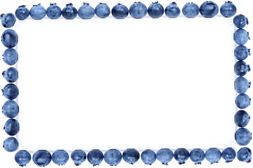 blueberry frame