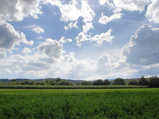 dramatic sky and green meadow