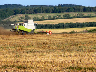 Fototapeta premium harvest time