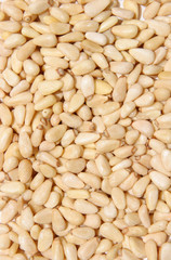 pinienkerne