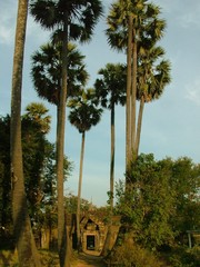 paysage, cambodge