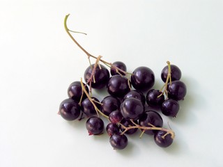 black currants